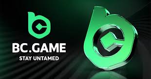 BC.Game IN Hub The Ultimate Gaming Experience